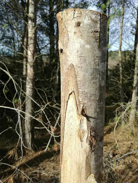 Utiliser bois pour créer patere